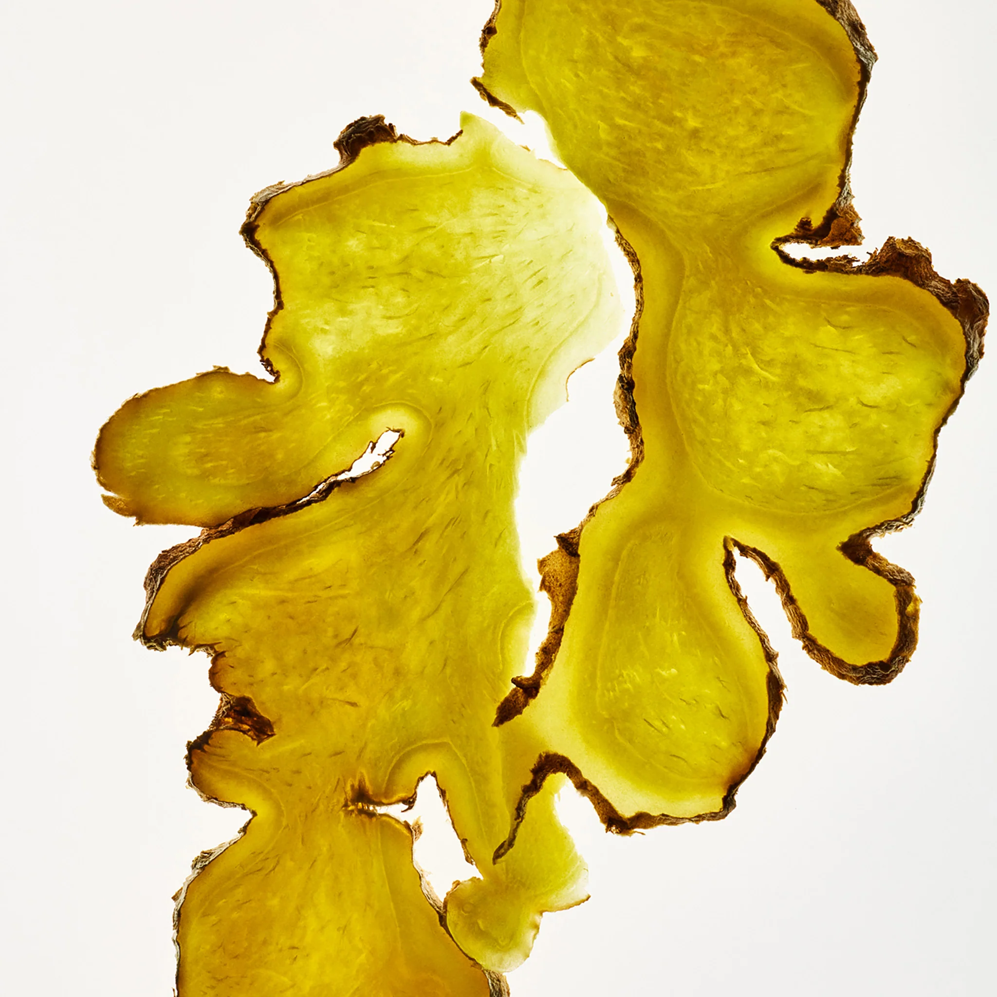 Ginger Scalp Care Set - Image 3